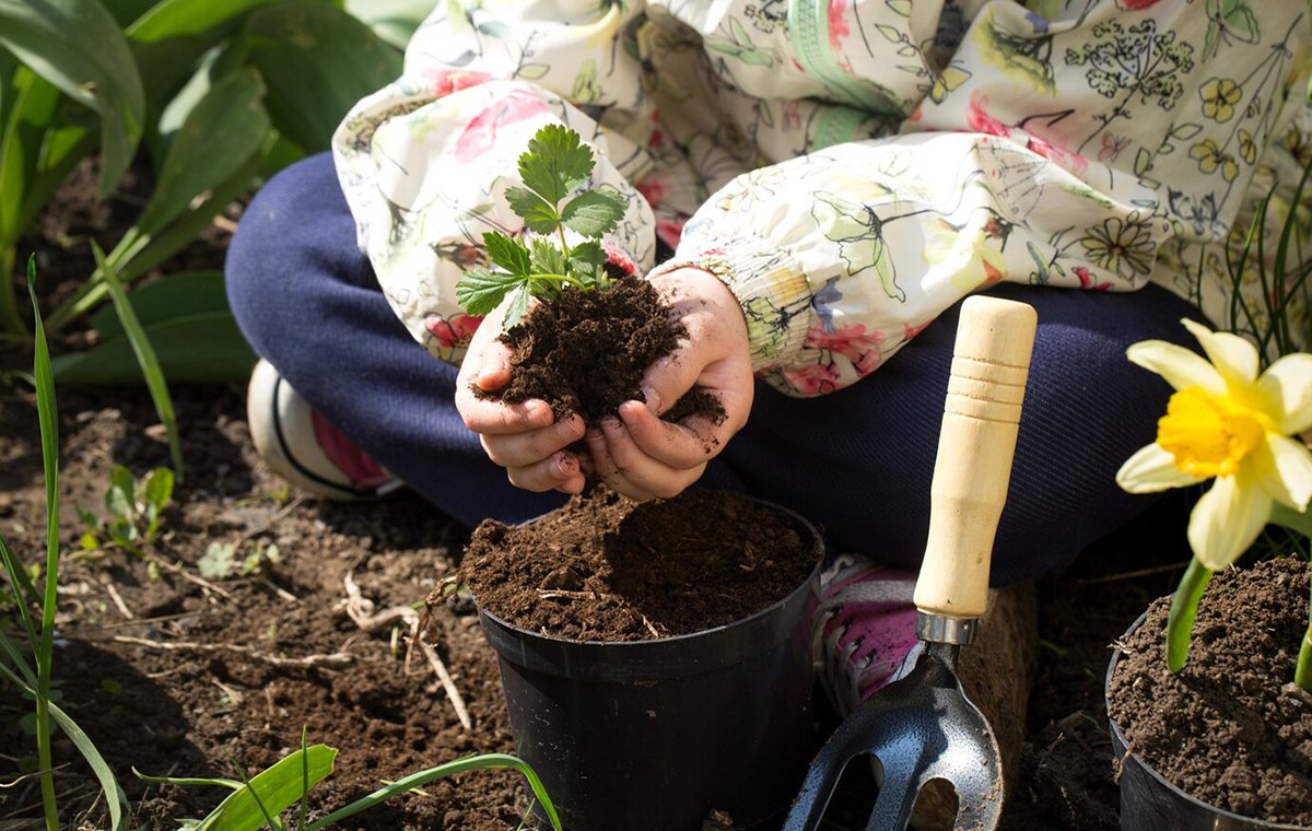 آماده سازی باغچه برای بهار