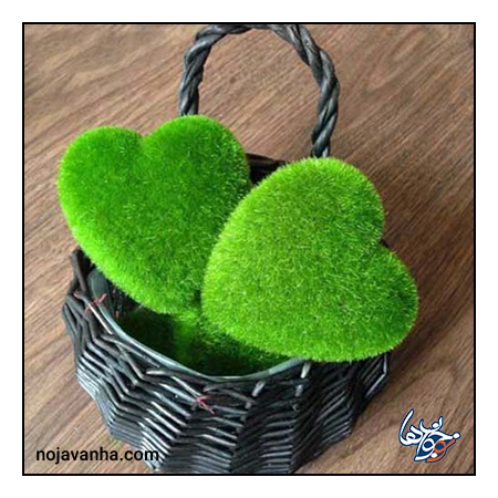 سبزه عید قلبی