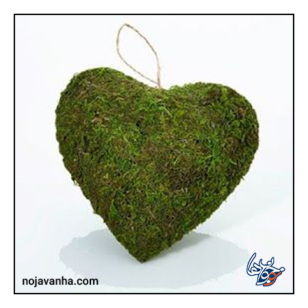 سبزه عید قلب