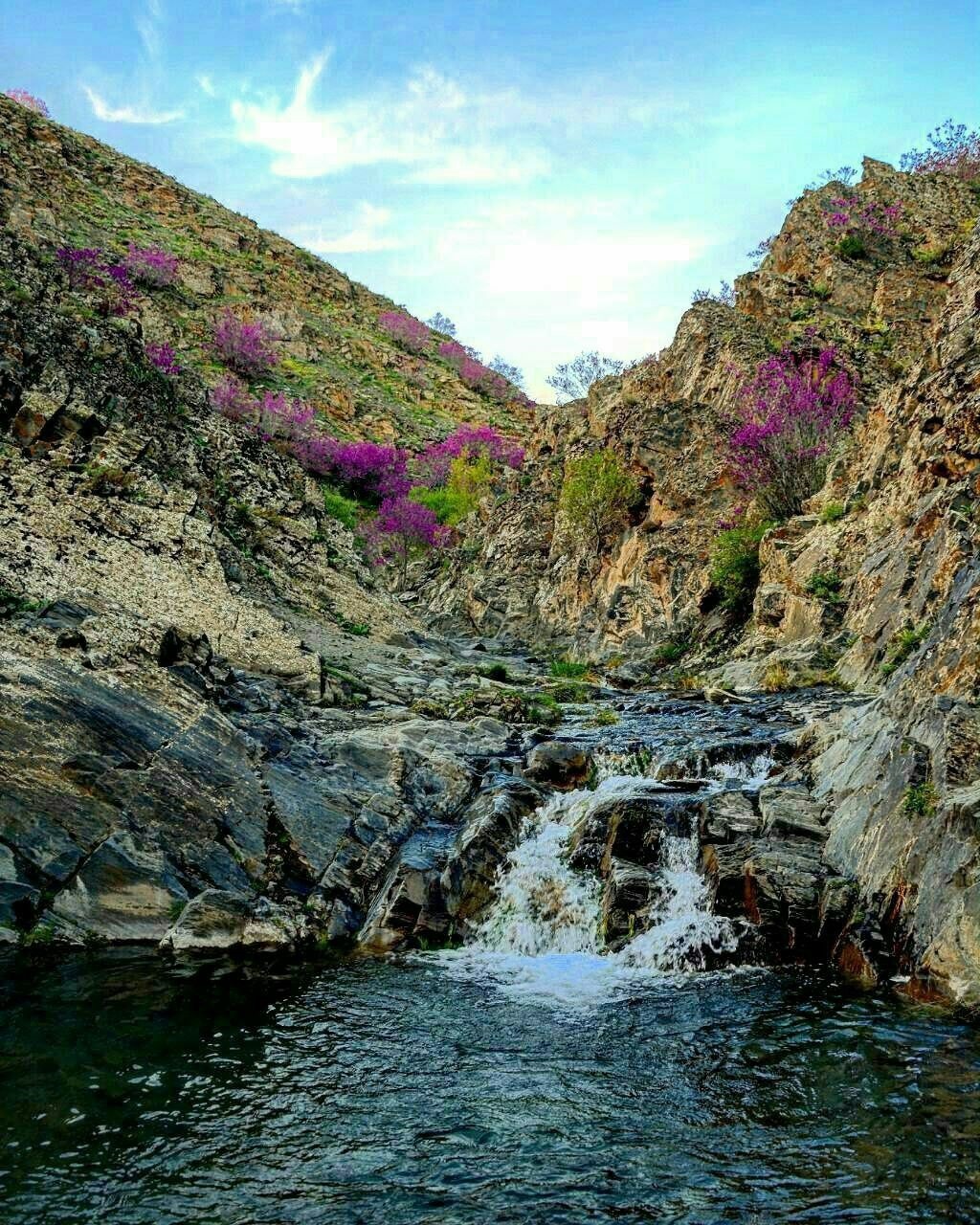 مکان های دیدنی و تفریحی مشهد دره ارغوان