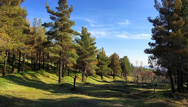 مکان های تفریحی برای سیزده بدر در شرق تهران