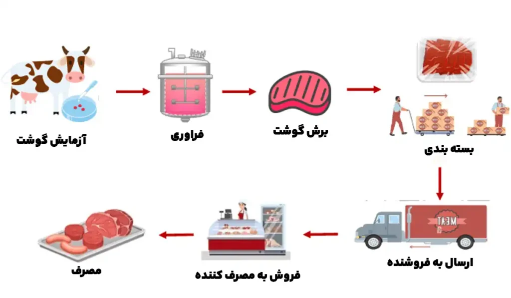 مراحل بسته بندی گوشت