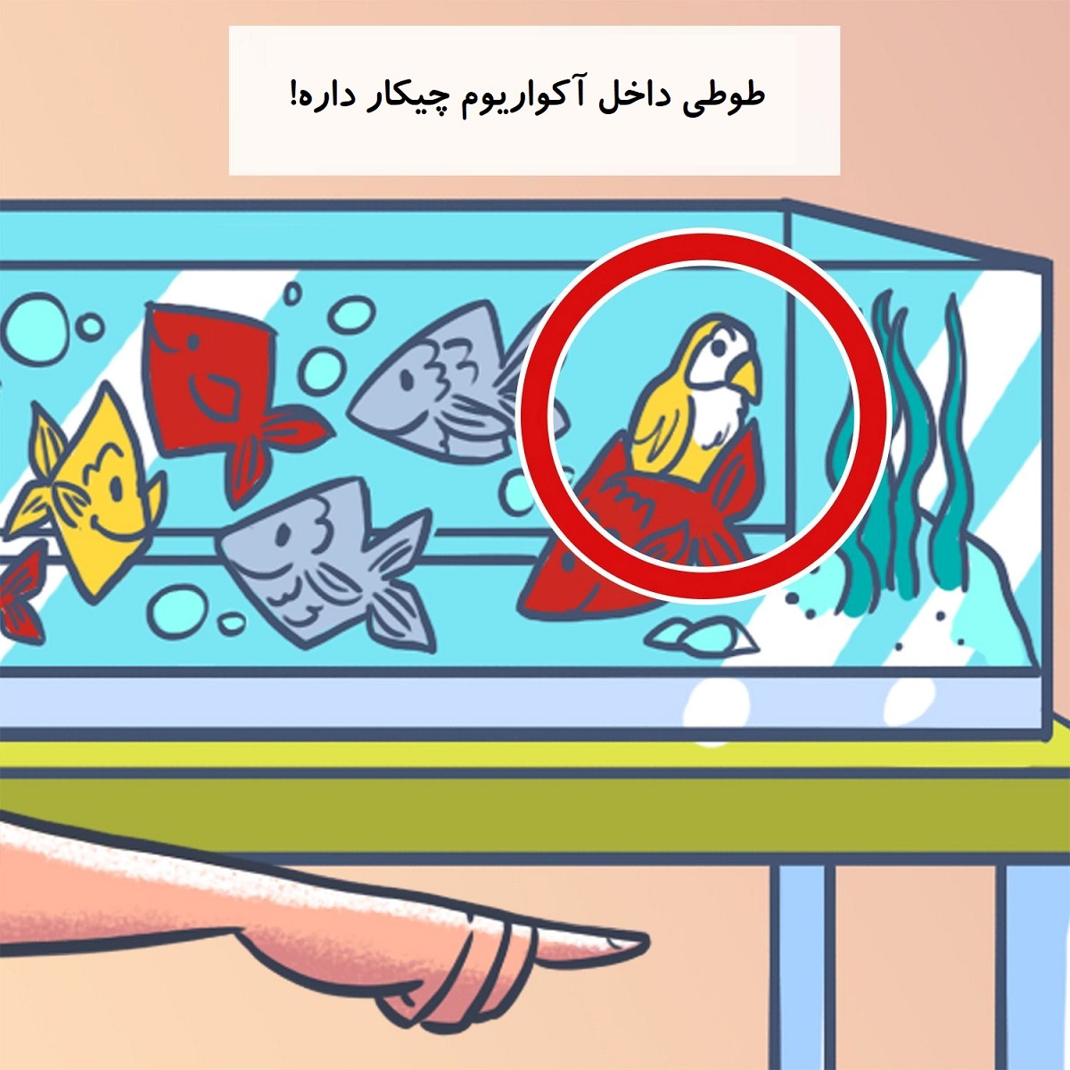 بازی فکری اشتباه تصویر اتاق پسر 2