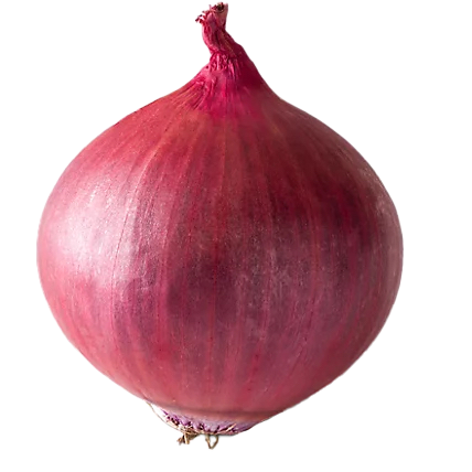 پیاز
