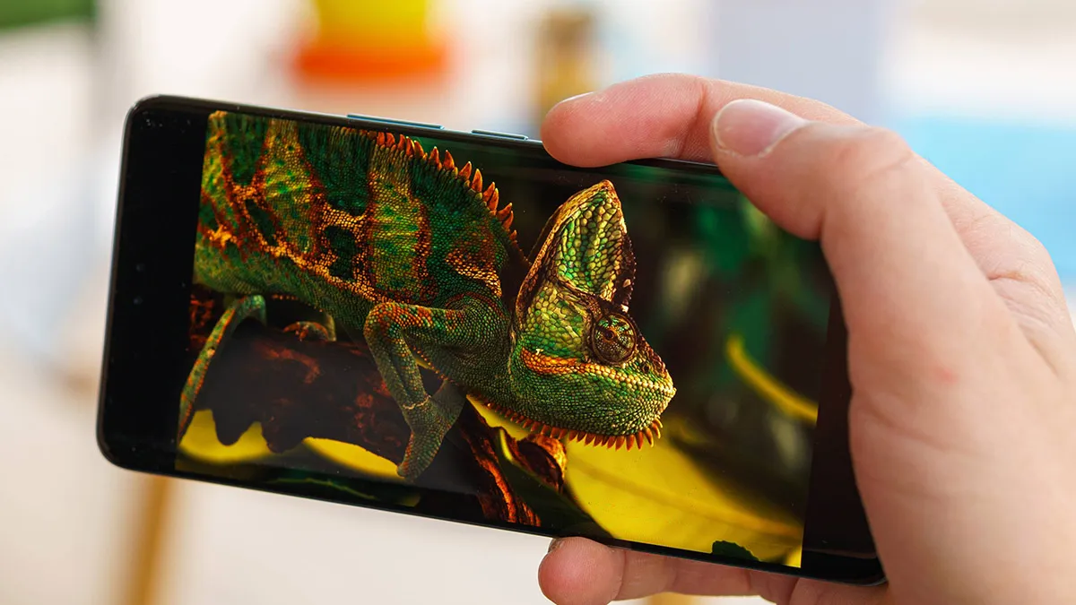 نمایشگر گوشی Honor 200 Pro