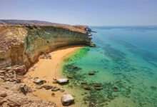 images 1725892720 66df08709a4ea - اژدر کالا
