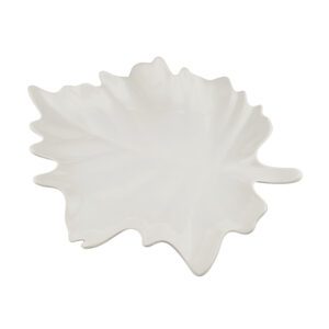 دیس طرح برگ