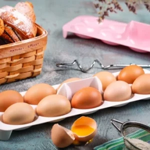 جاتخم مرغ دربدار آریسام کد ۲۷۲